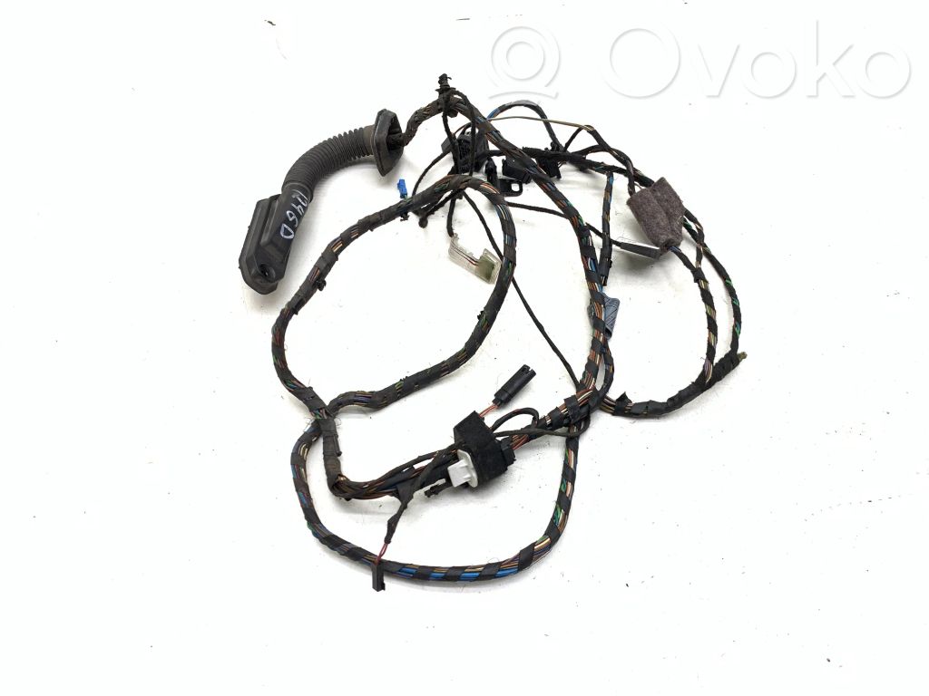 BMW X5 E70 Cableado de puerta trasera 
