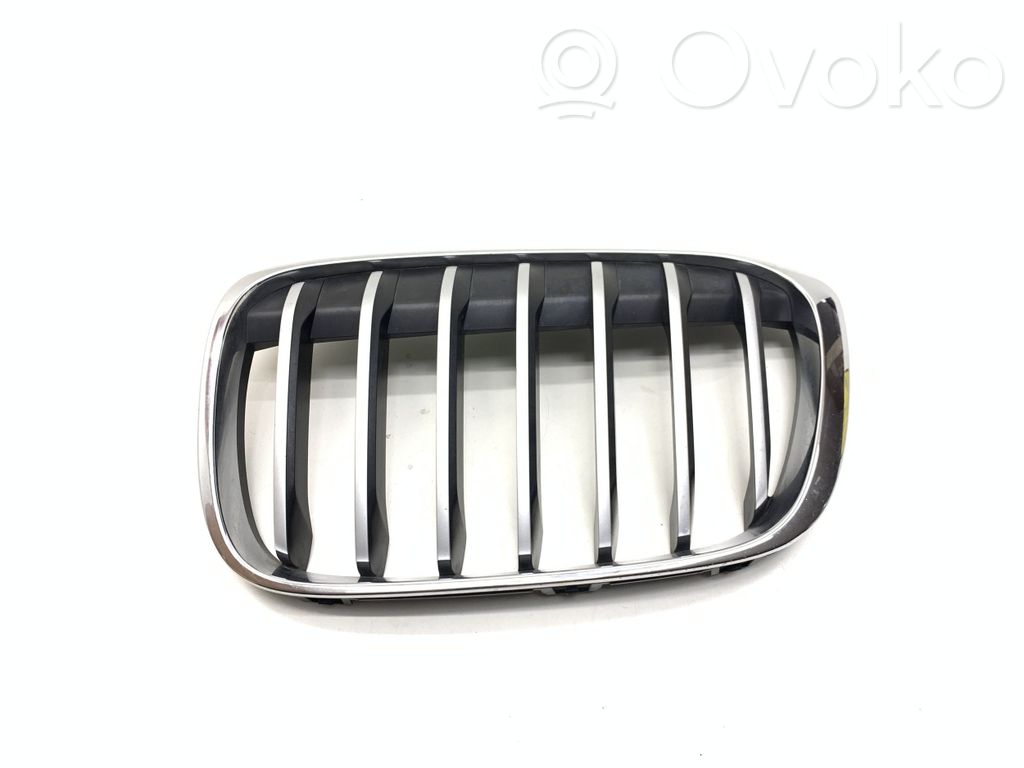 BMW X1 F48 F49 Front bumper upper radiator grill 