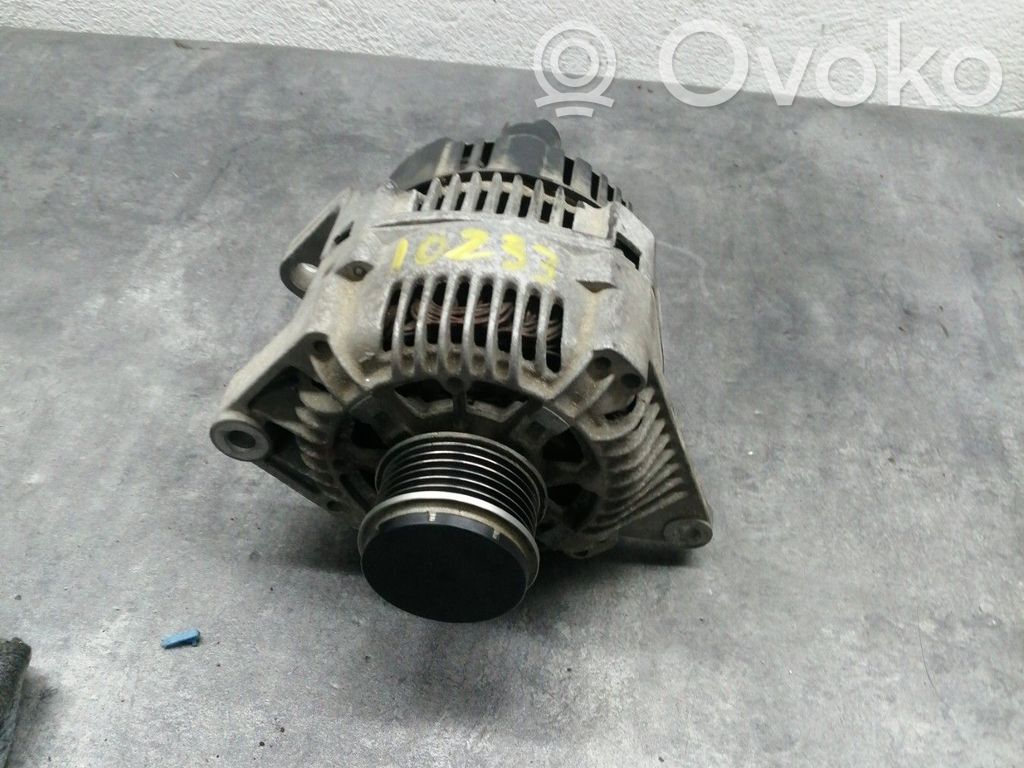 Generatorius   8200690195,4024