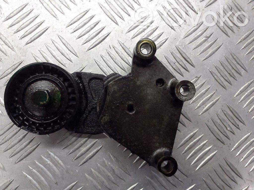 Volvo V50 Rolă întinzător curea alternator 