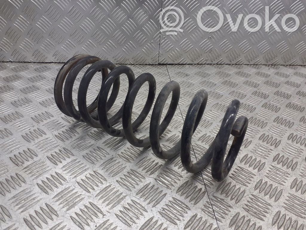 Rear coil spring