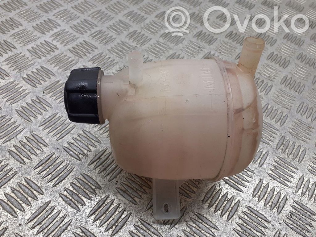 Dacia Sandero Serbatoio di compensazione del liquido refrigerante/vaschetta 