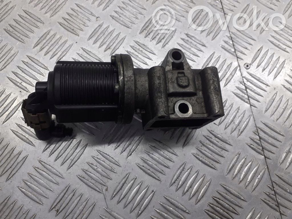 Válvula EGR   55204250