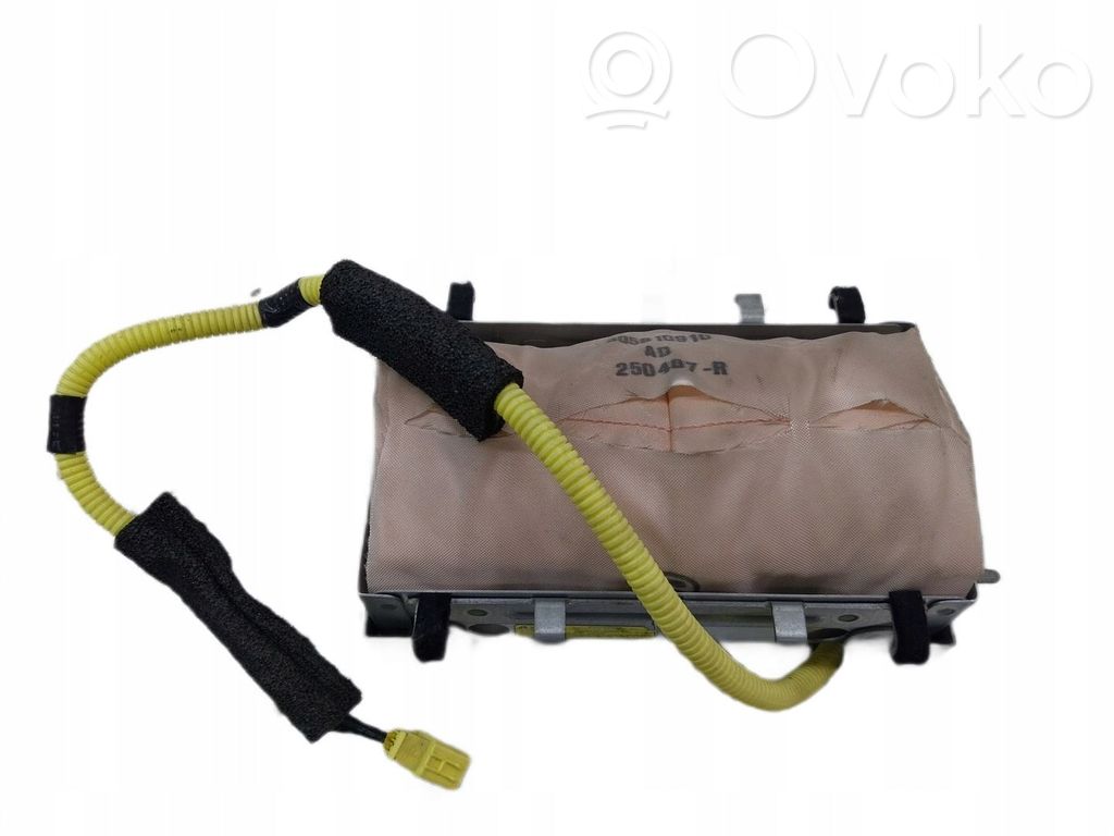 Beifahrerairbag