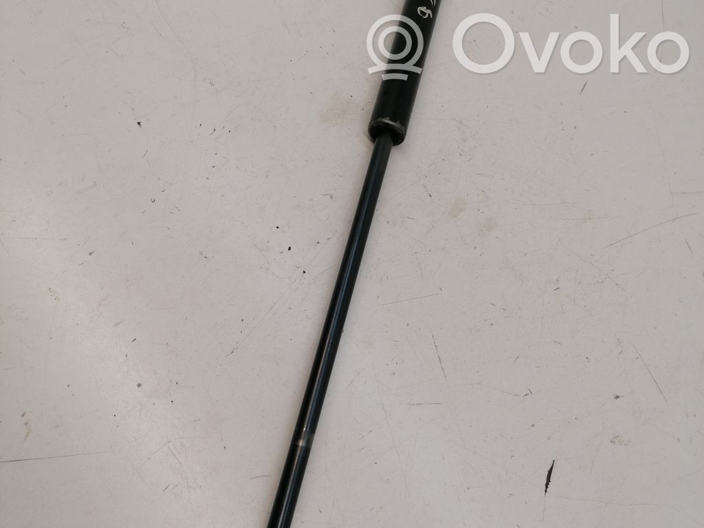 Ford Transit Tailgate/trunk strut/damper 