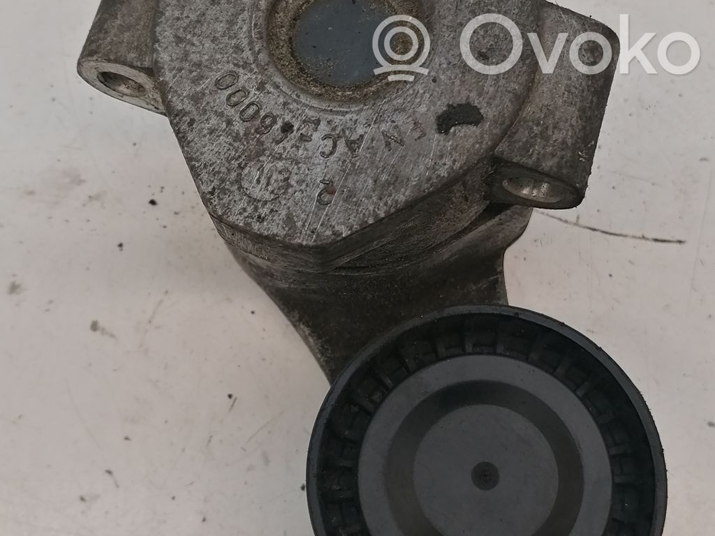 Ford Transit Generatoriaus diržo įtempėjas 