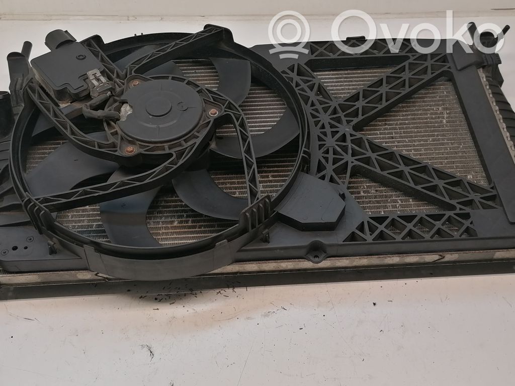 Ford Transit Radiator set 