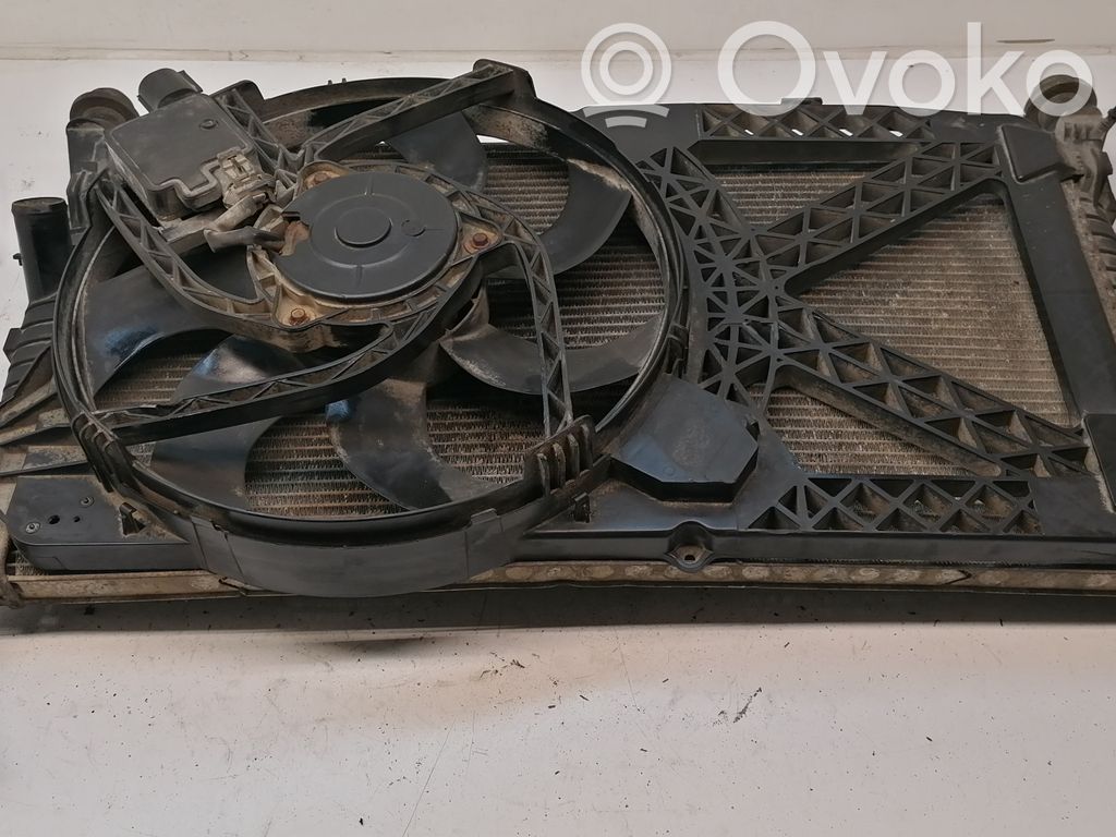 Ford Transit Radiator set 