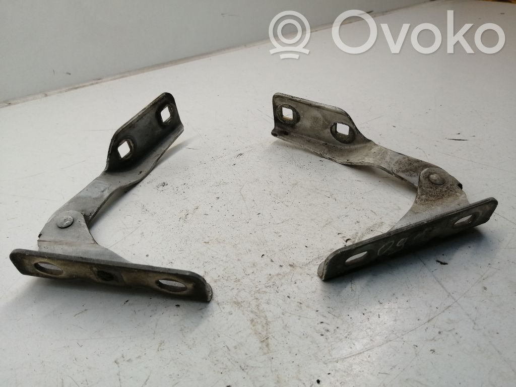 Ford Transit Engine bonnet/hood hinges 