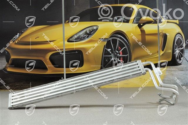 Porsche Cayenne (9PA) Ohjaustehostimen jäähdytin