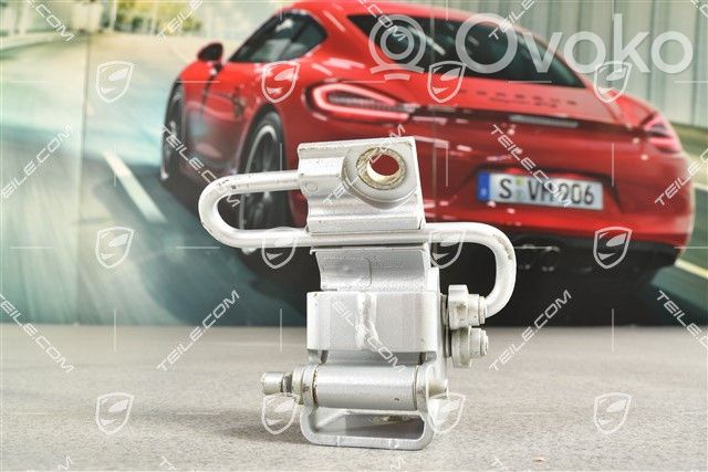 Porsche Cayenne (9PA) Zawias dolny drzwi tylnych 