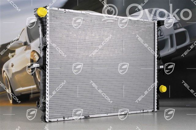 Porsche Cayenne (9PA) Radiador del refrigerante 