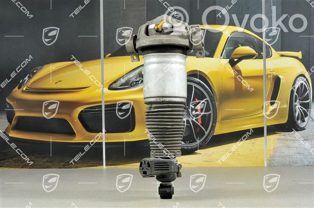 Porsche Cayenne (9PA) Arc elicoidal spate 