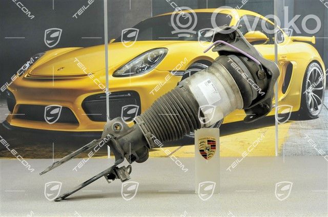 Porsche Cayenne (9PA) Amortiguador delantero