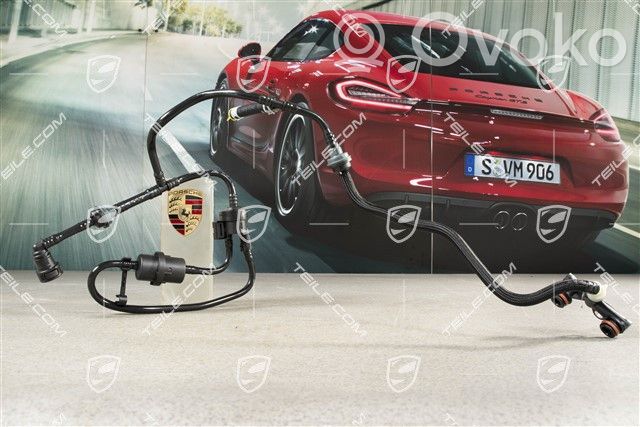 Porsche 911 991 Motor