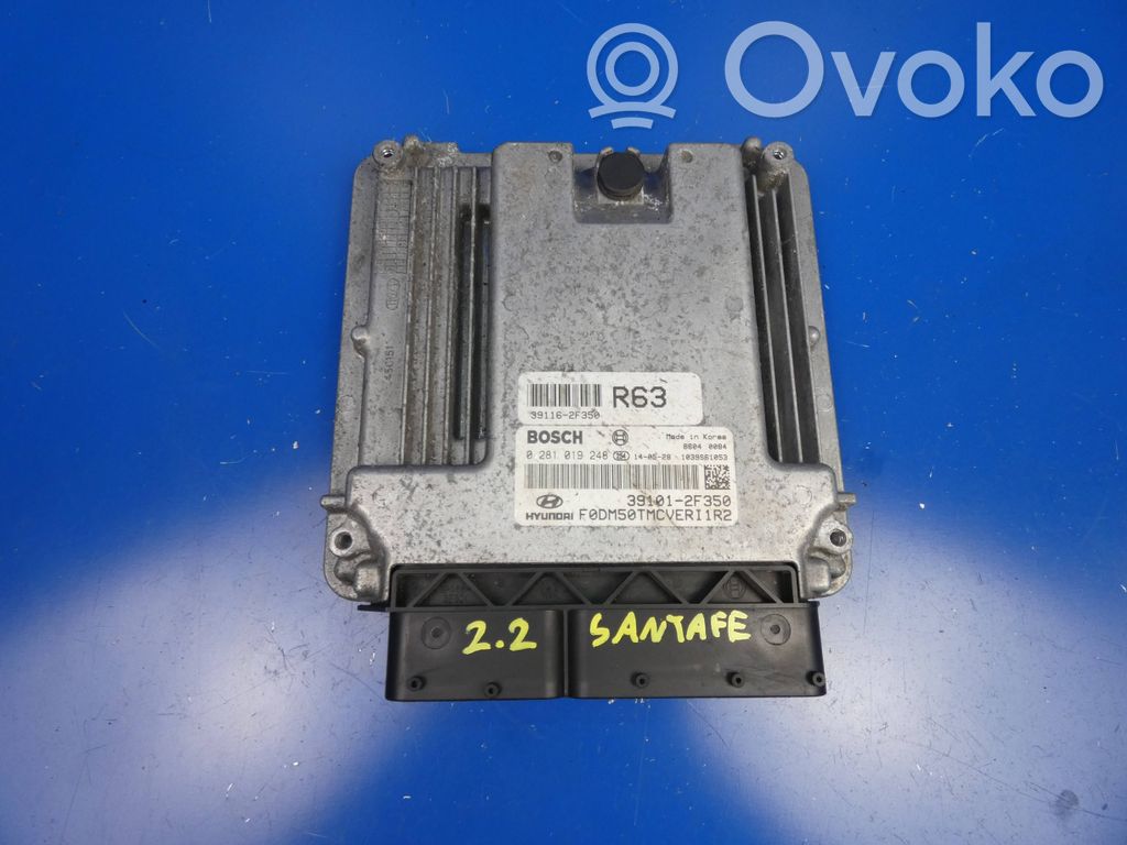 Hyundai Santa Fe Engine control unit/module 