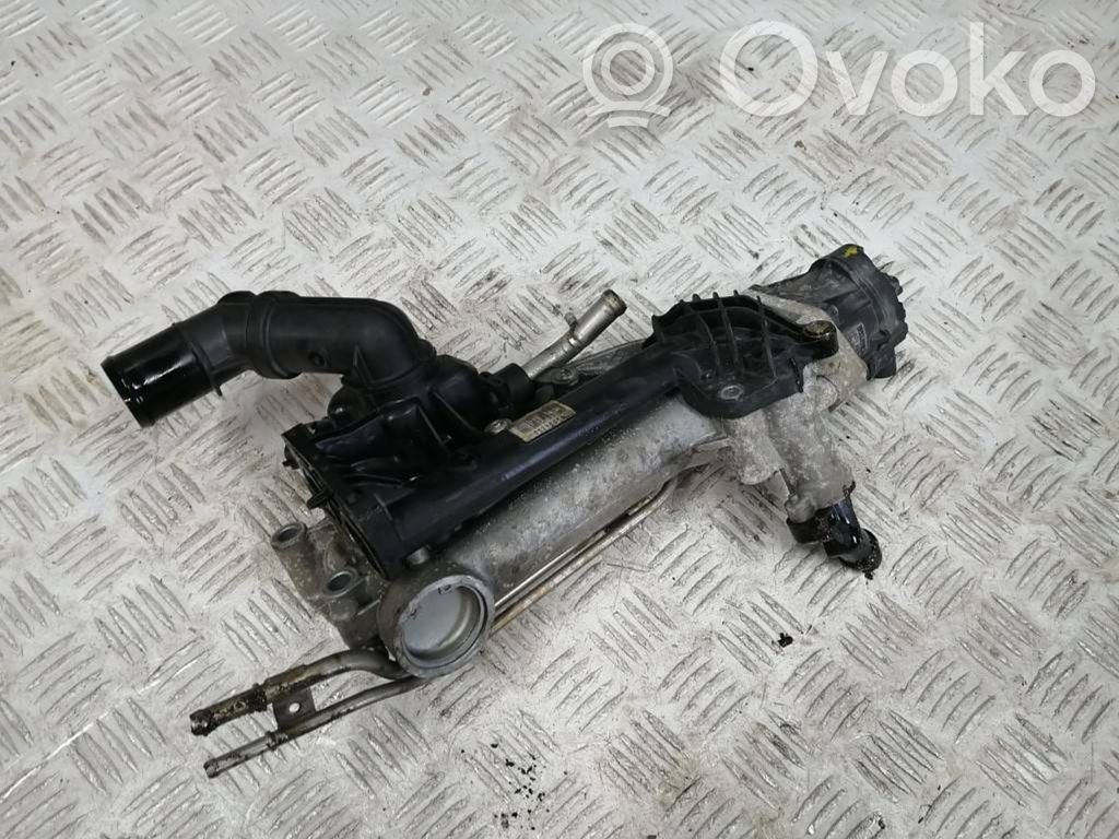 Fiat Tipo Răcitor supapă EGR 