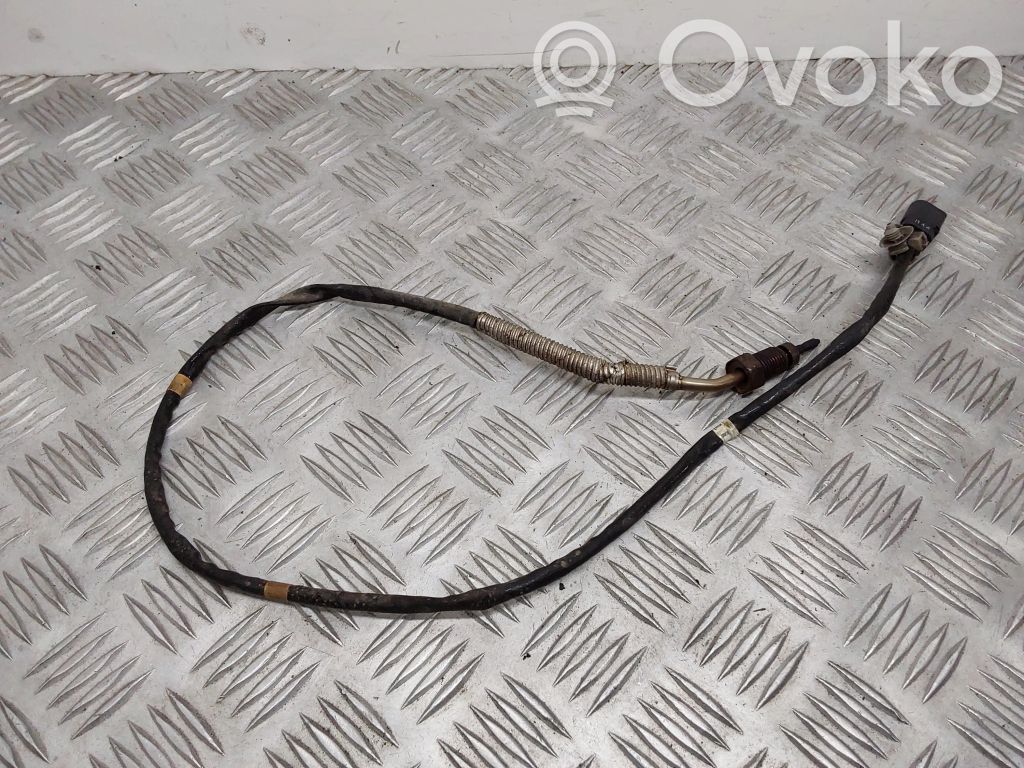 Audi A1 Išmetamųjų dujų temperatūros daviklis 
