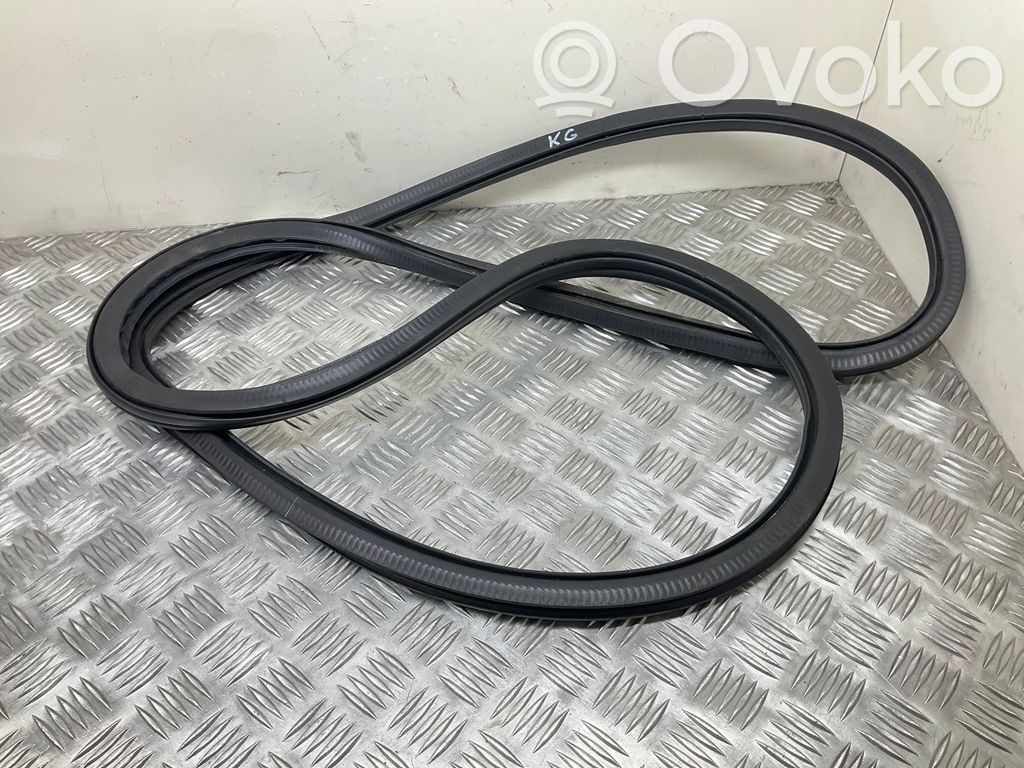 Volkswagen Jetta VI Guarnizione in gomma portiera posteriore (sulla carrozzeria) 