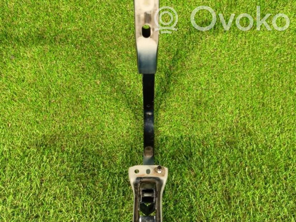 Tailgate/trunk/boot hinge