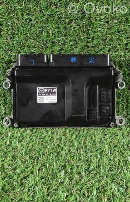 Engine control unit/module ECU