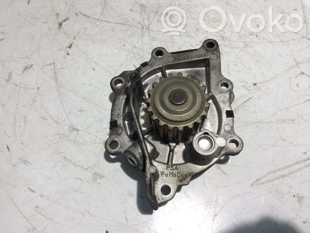 Water pump   9684319880