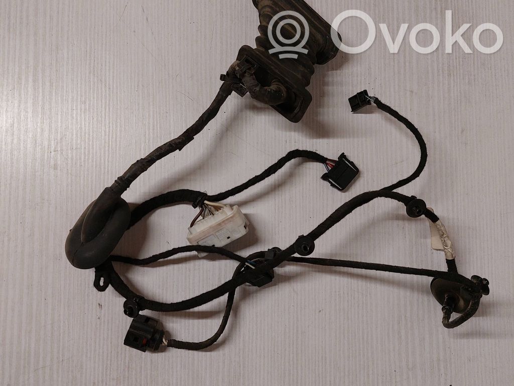Volkswagen PASSAT B6 Cableado de puerta trasera 