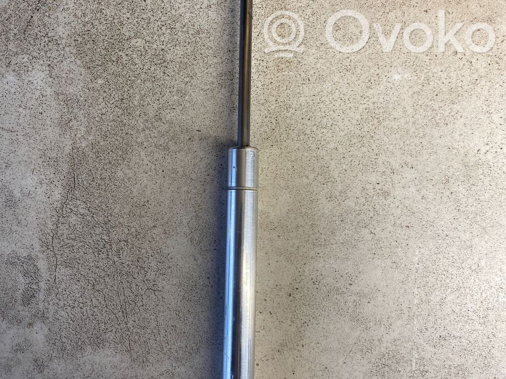 Volkswagen Phaeton Tailgate/trunk strut/damper 