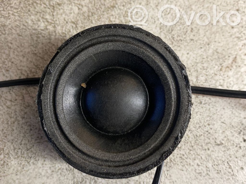Volkswagen Phaeton Rear door speaker 
