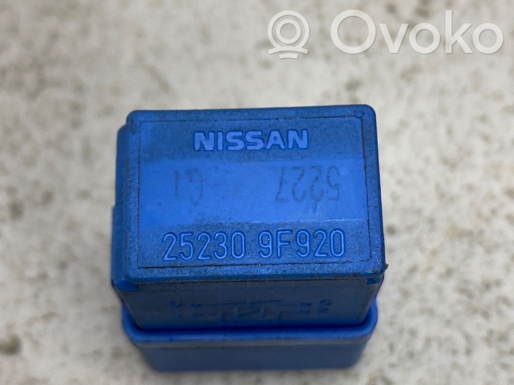 Nissan Pathfinder R51 Otros relés 