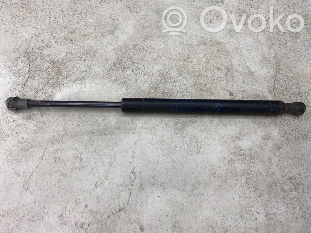 Tailgate/trunk strut/damper   8254281