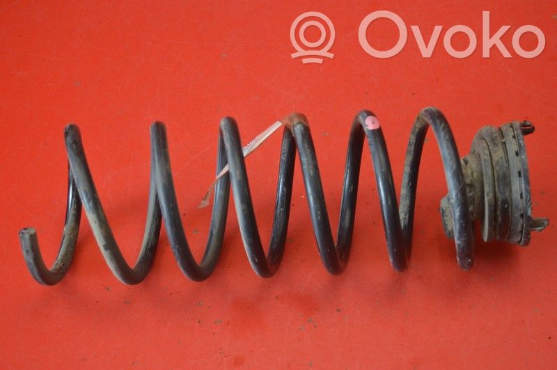 Rear coil spring