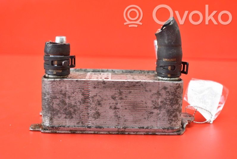 Radiator ulei motor   X6003001,X6003001