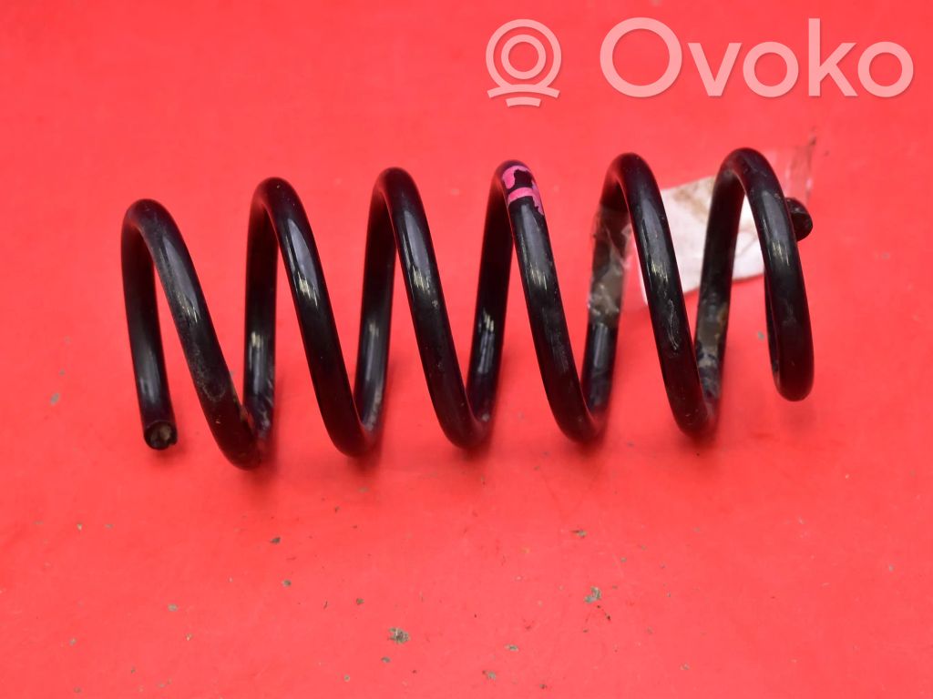 Rear coil spring