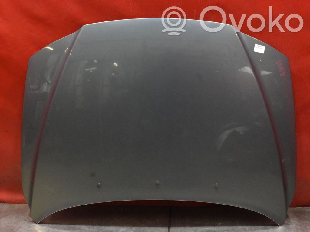 Motorhaube