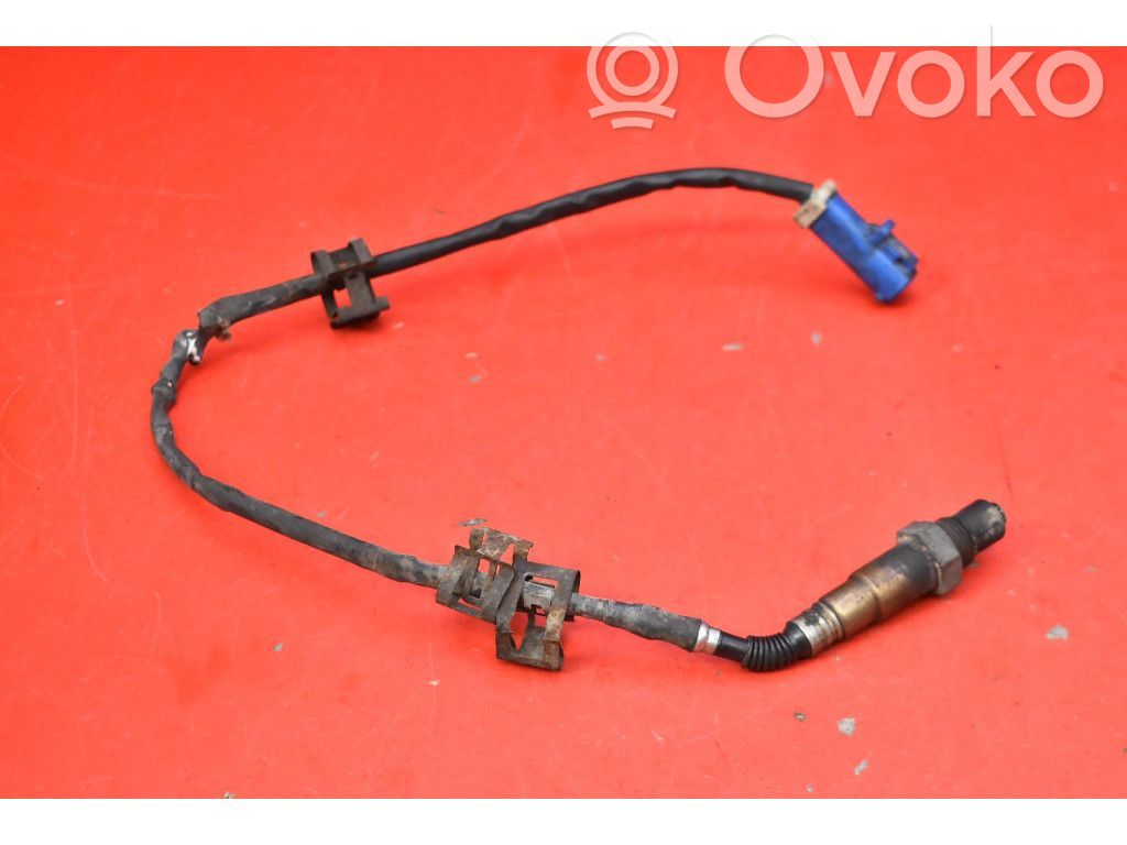 Lambda zondas   BV619G444BA,BV619G444BA