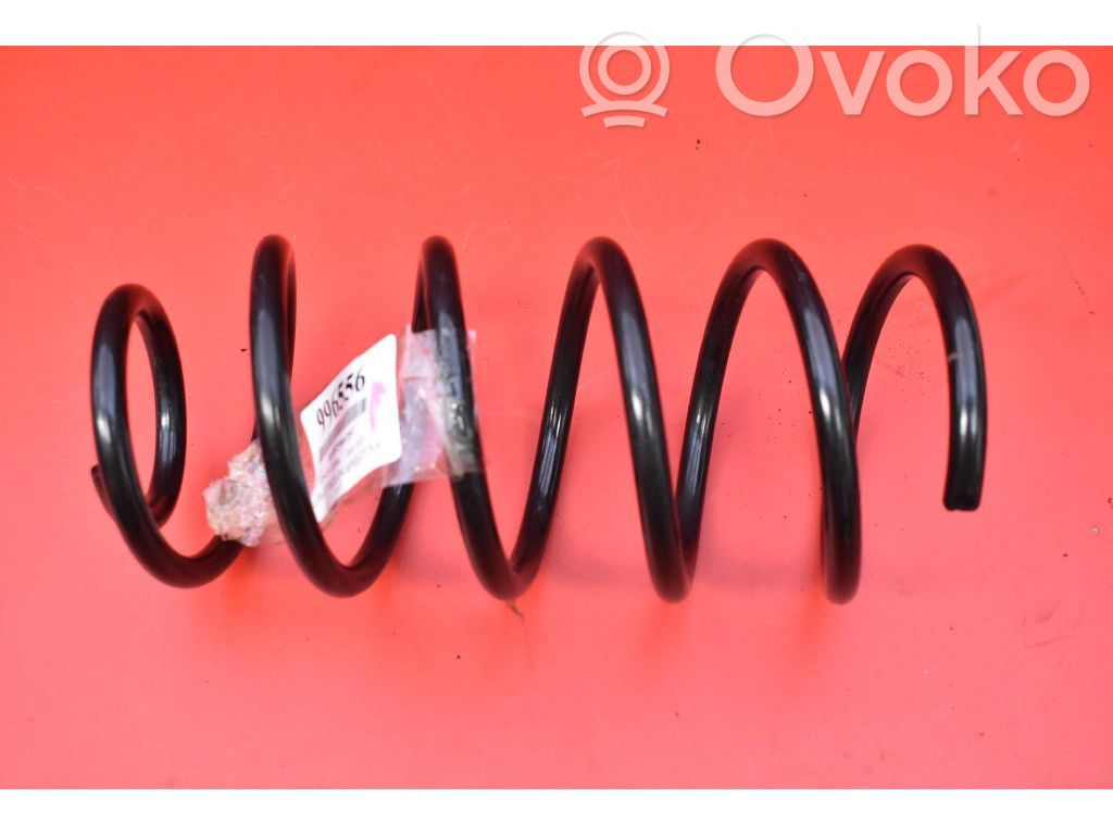 Rear coil spring