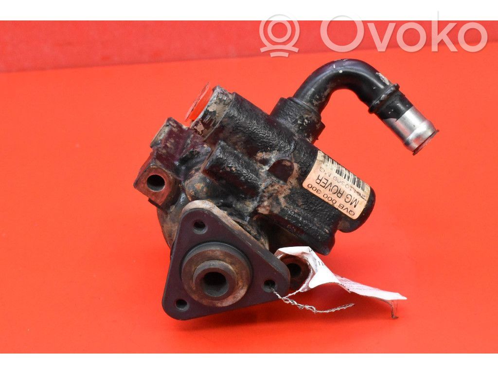 BMW X3 F25 Servopumpe 