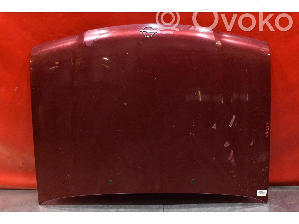 Motorhaube