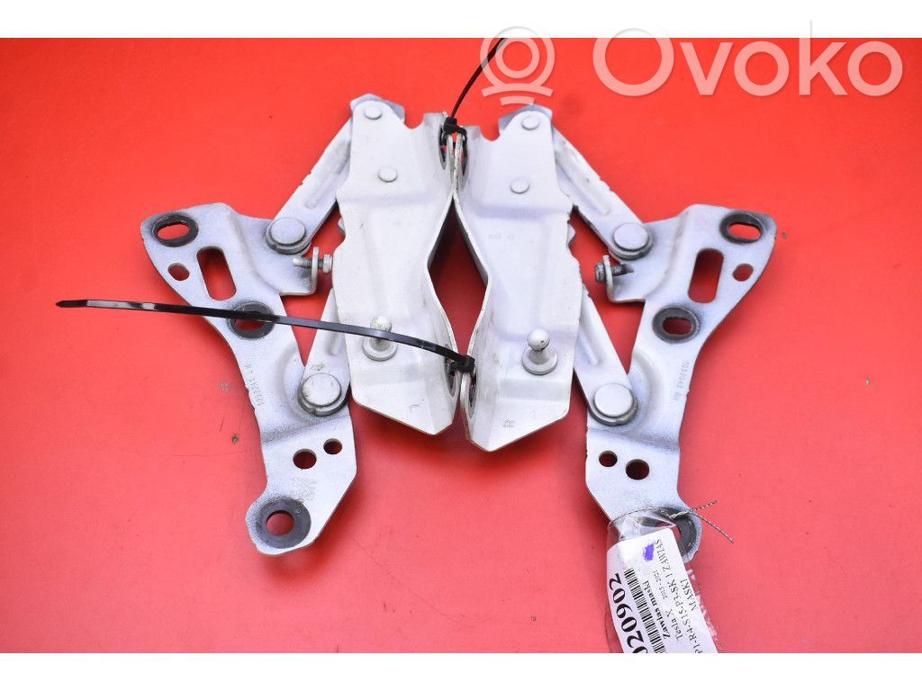 Tesla Model X Engine bonnet/hood hinges 