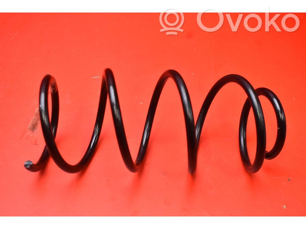 Rear coil spring