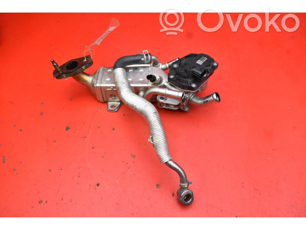 Hyundai Tucson JM Răcitor supapă EGR