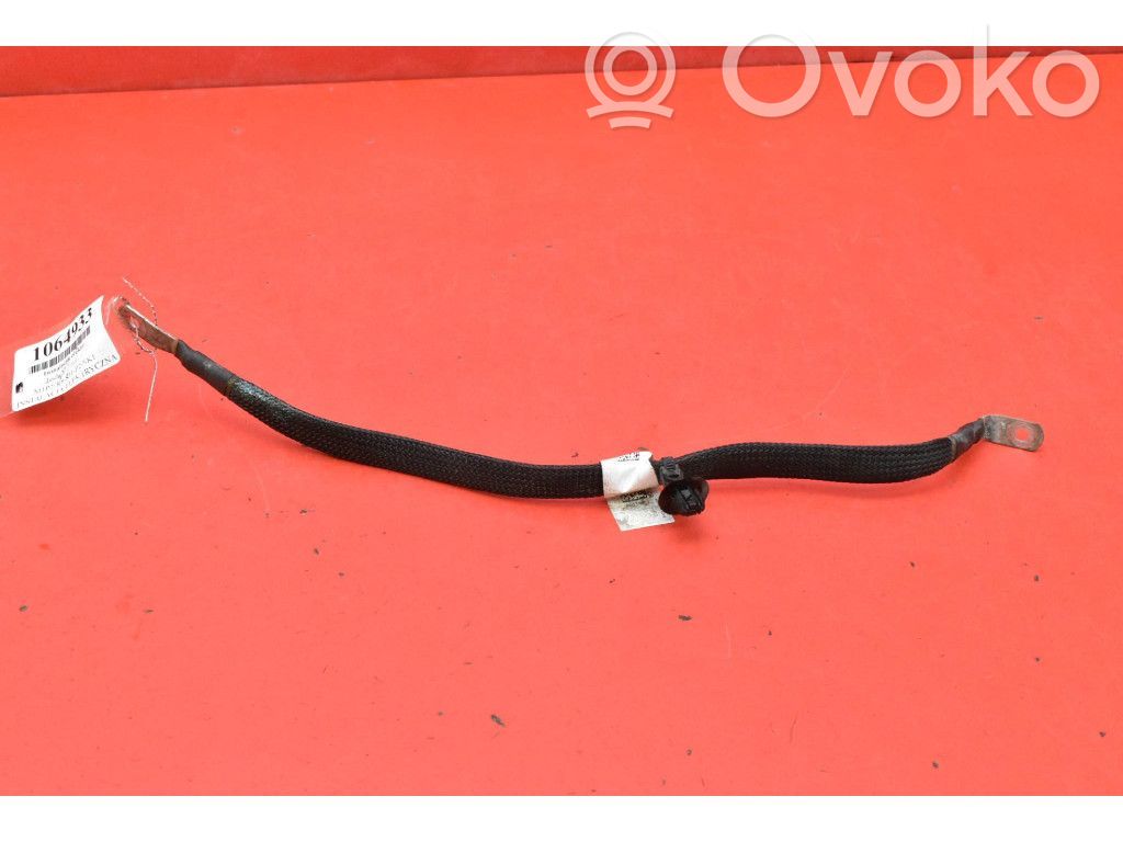 Otros cableados   107097900G,107097900G