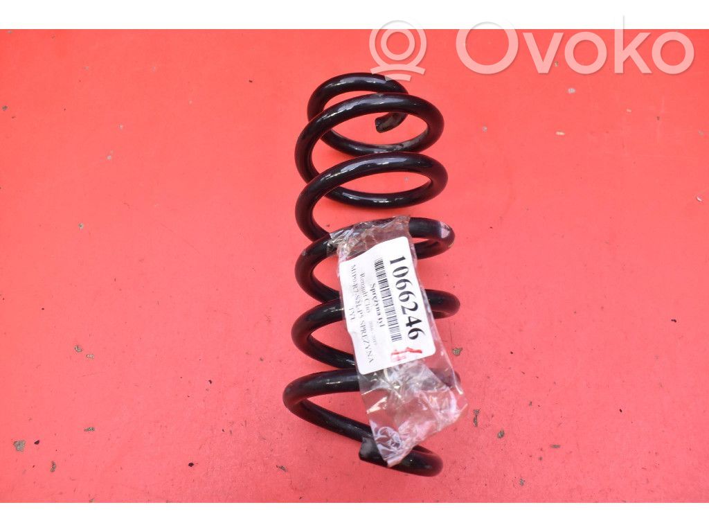 Rear coil spring
