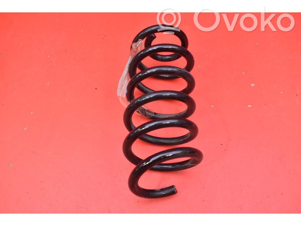 Rear coil spring