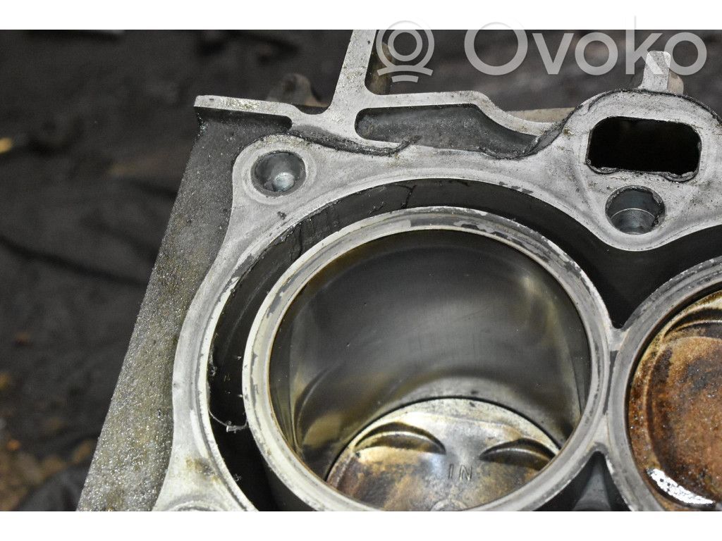 Motorblock   D16W1,D16W1