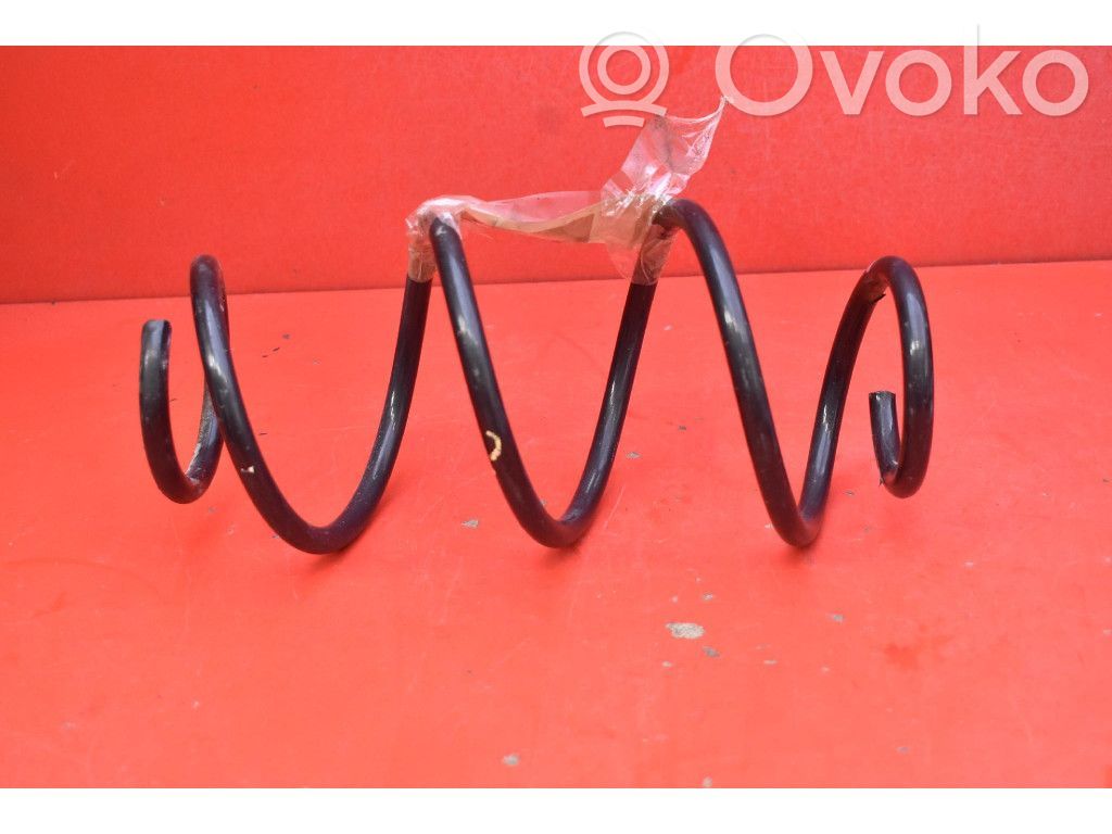 Rear coil spring