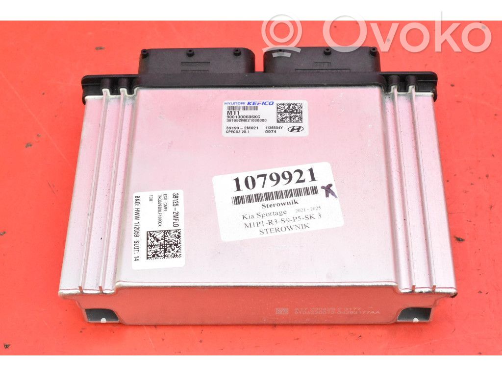 KIA Sportage Centralina/modulo motore ECU 