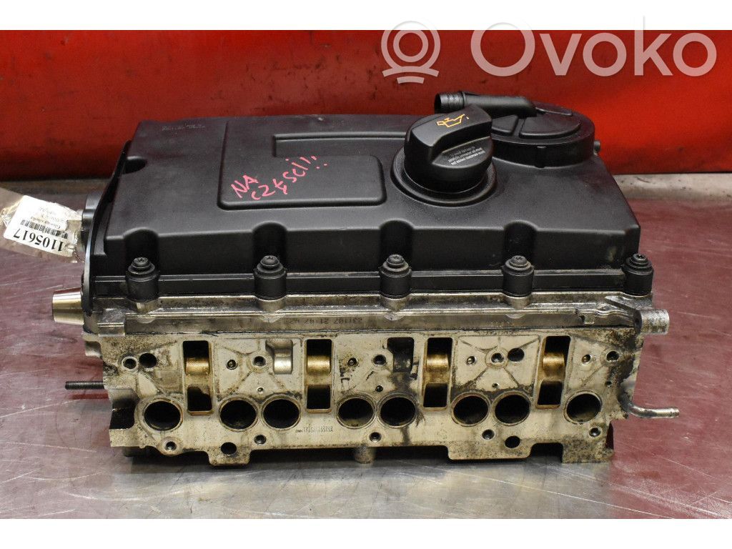 Skoda Octavia Mk2 (1Z) Testata motore 