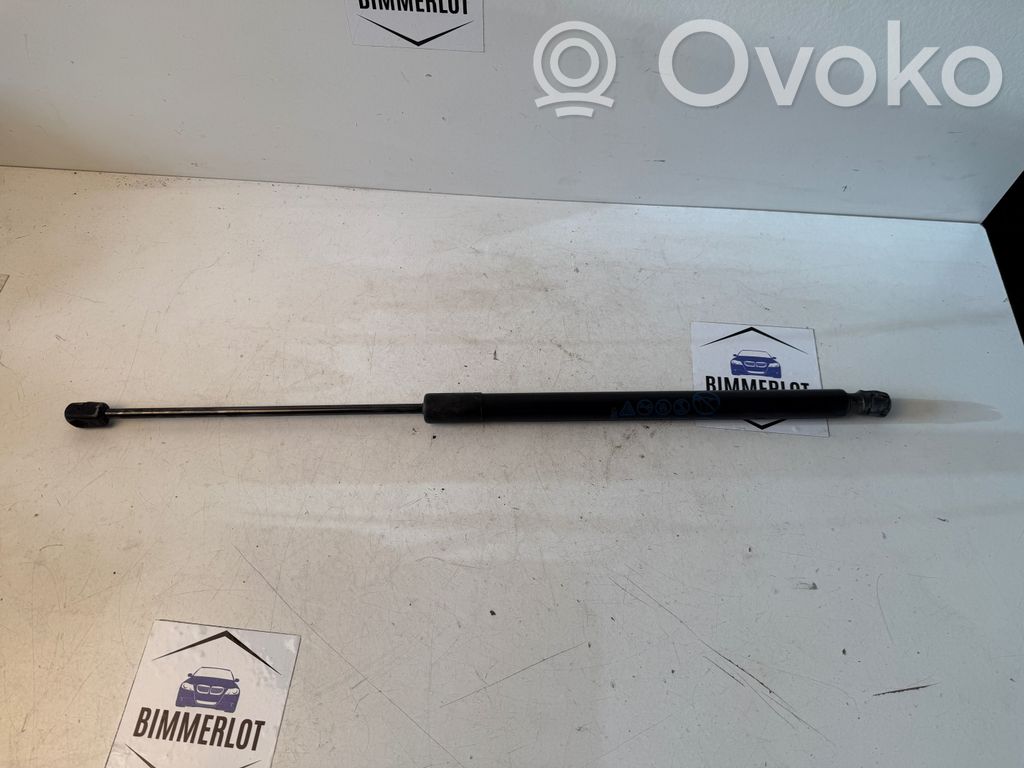 Ford Focus Tailgate/trunk strut/damper 